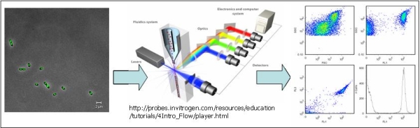 FCA_workflow